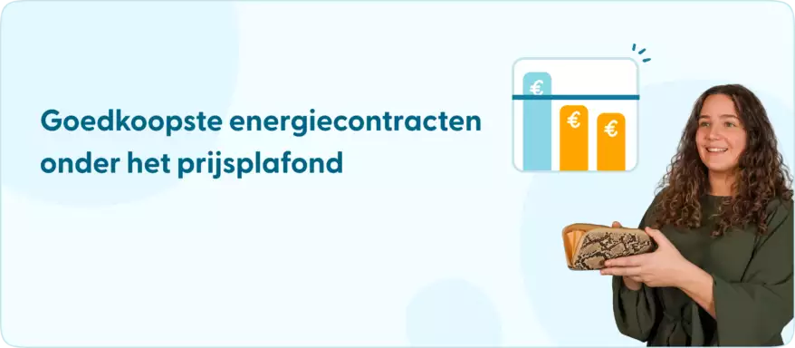 Goedkoopste energiecontracten onder het prijsplafond Goedkoopste energiecontracten onder het prijsplafond