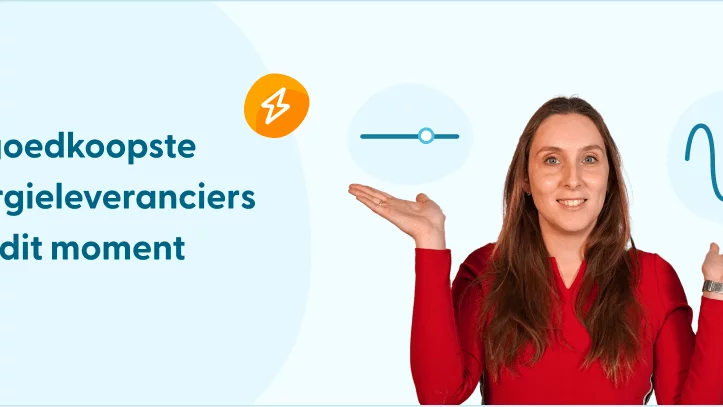 Vrouw vergelijkt variabel en dynamisch contract