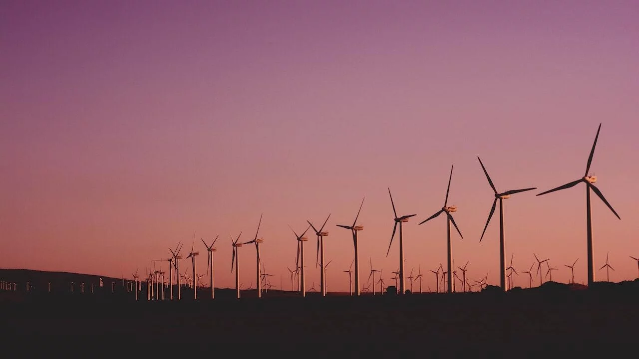 rij met windmolens tegen ondergaande zon