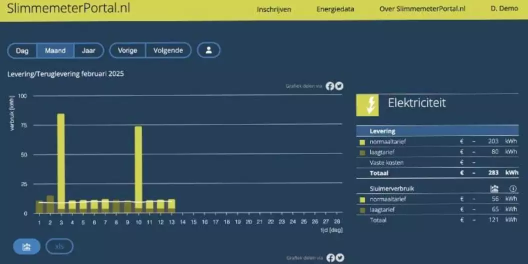 Screenshot van slimme meter portal