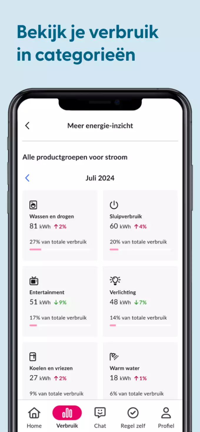 Screenshot Essent app met verbruik