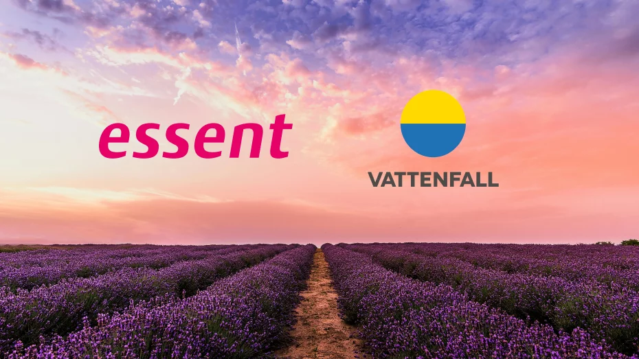 Vattenfall vs. Essent: Wat is voordeliger, de cadeau of cashback aanbieding?