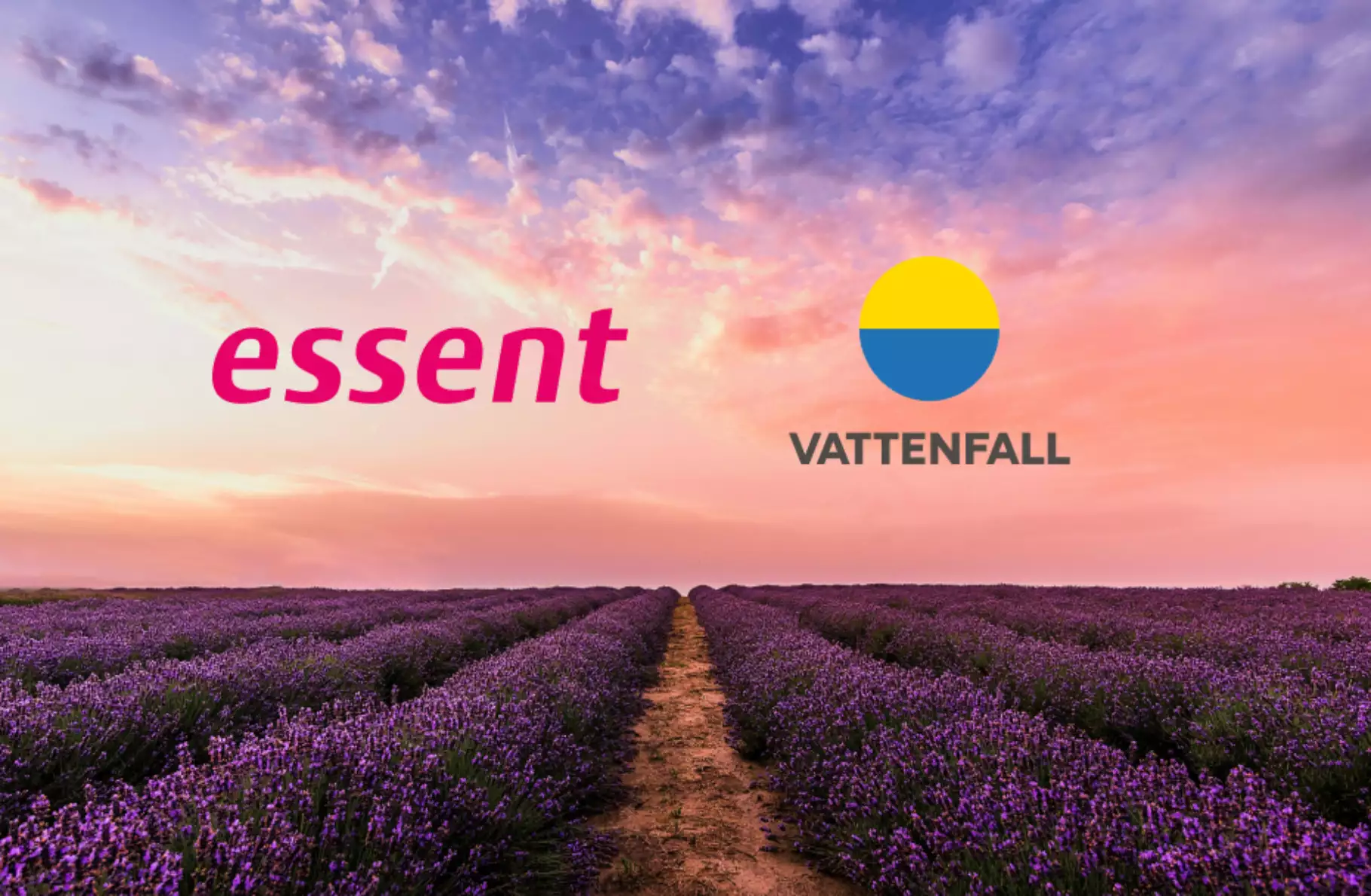 Vattenfall vs. Essent: Wat is voordeliger, de cadeau of cashback aanbieding?